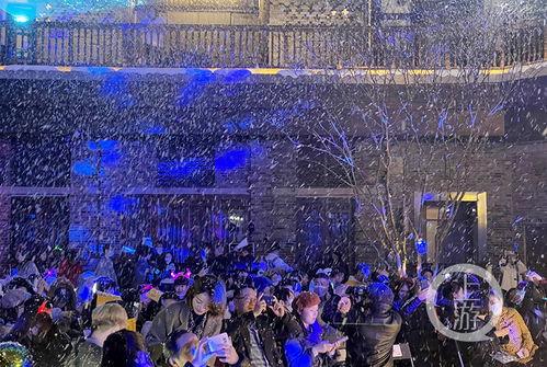 在南濱路的冬夜里，把極光、沸雪和落日還給舊歲